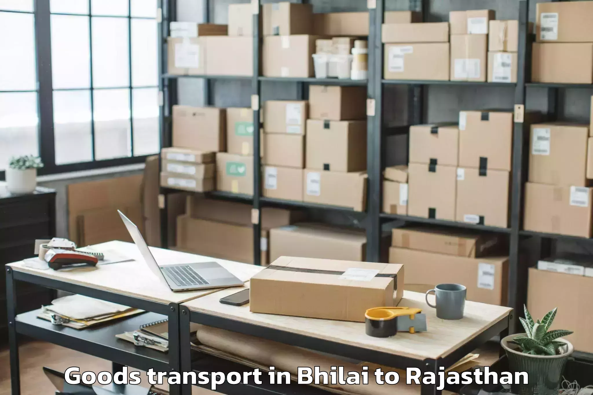 Leading Bhilai to Vallabhnagar Goods Transport Provider